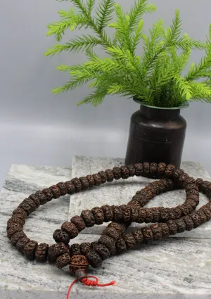 Rudrakshya Seeds Shiva Shakti  Prayer Mala